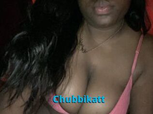 Chubbikatt
