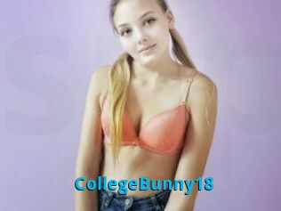 CollegeBunny18