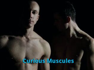 Curious_Muscules