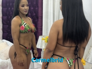 Carmelbrid