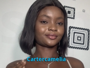 Cartercamelia