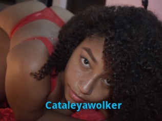 Cataleyawolker