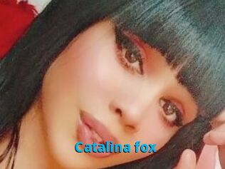 Catalina_fox