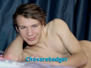 Chesarebadger