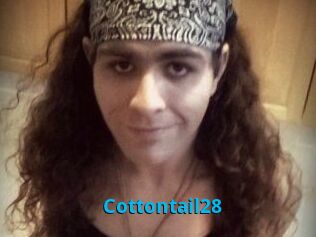 Cottontail28