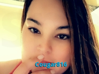 Cougar816