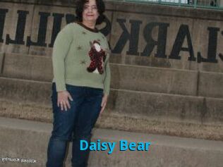 Daisy_Bear
