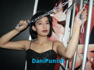 DaniPunish