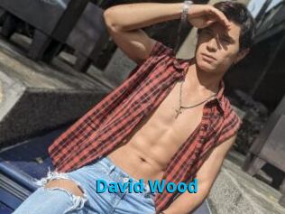 David_Wood