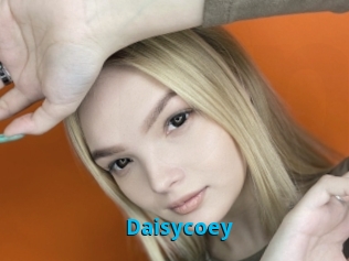 Daisycoey