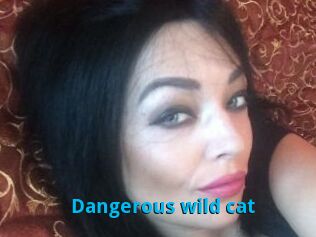 Dangerous_wild_cat