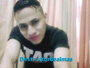 Destructordealmas