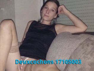 Deuxcochons