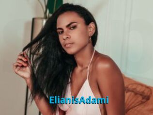ElianisAdami