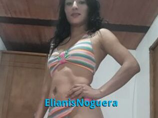 ElianisNoguera