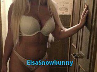 ElsaSnowbunny