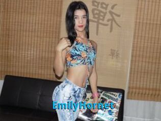 EmilyHornet