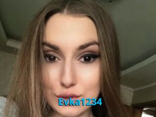 Evka1234