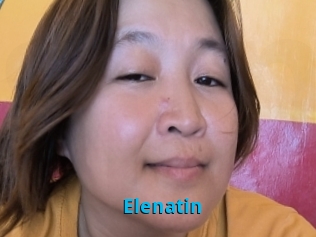 Elenatin