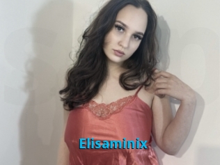 Elisaminix
