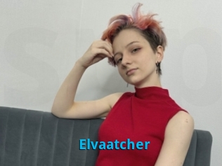 Elvaatcher