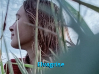Elvagrise
