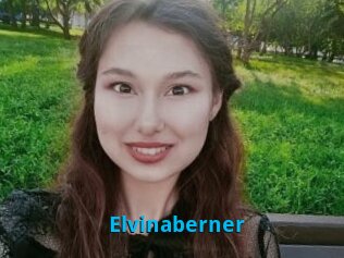 Elvinaberner
