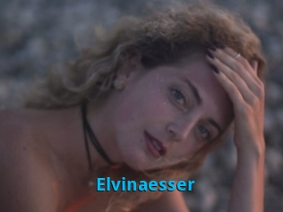 Elvinaesser
