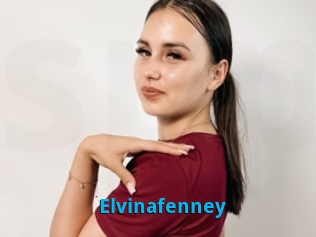 Elvinafenney