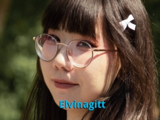 Elvinagitt