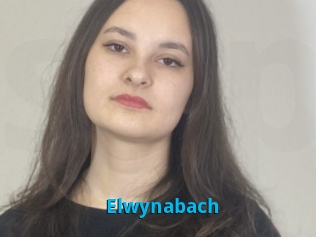 Elwynabach