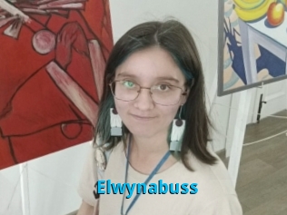 Elwynabuss