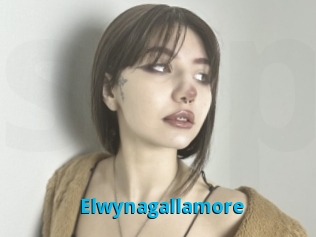 Elwynagallamore