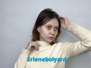 Erlenebolyard