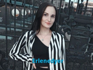 Erlenedyer