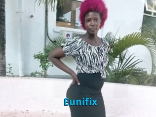 Eunifix