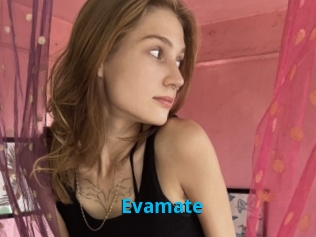 Evamate