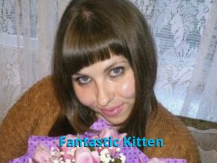 Fantastic_Kitten