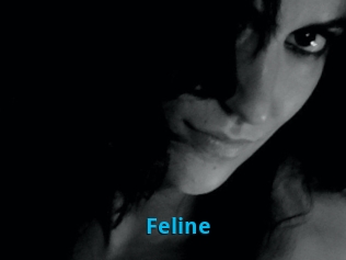 Feline