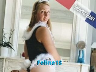 Feline18