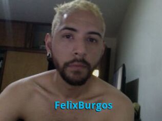 FelixBurgos