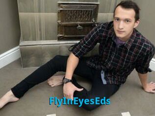 FlyInEyesEds