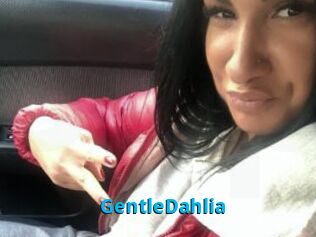 GentleDahlia