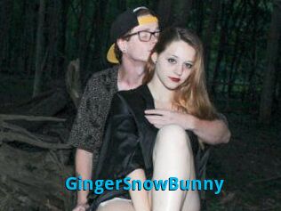 GingerSnowBunny