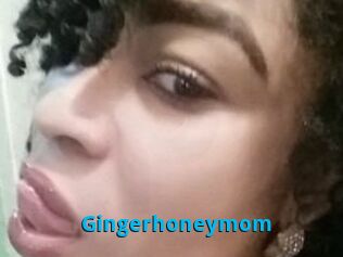 Gingerhoneymom