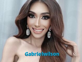 Gabrielwilson