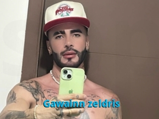 Gawainn_zeldris
