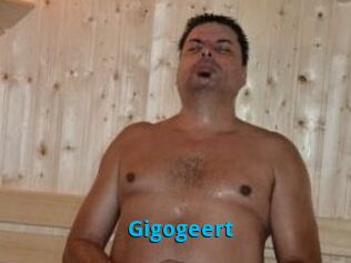 Gigogeert