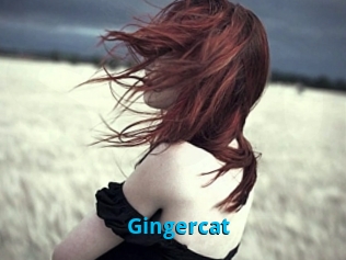 Gingercat