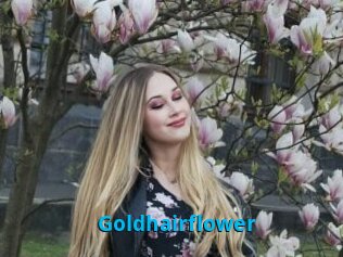 Goldhairflower